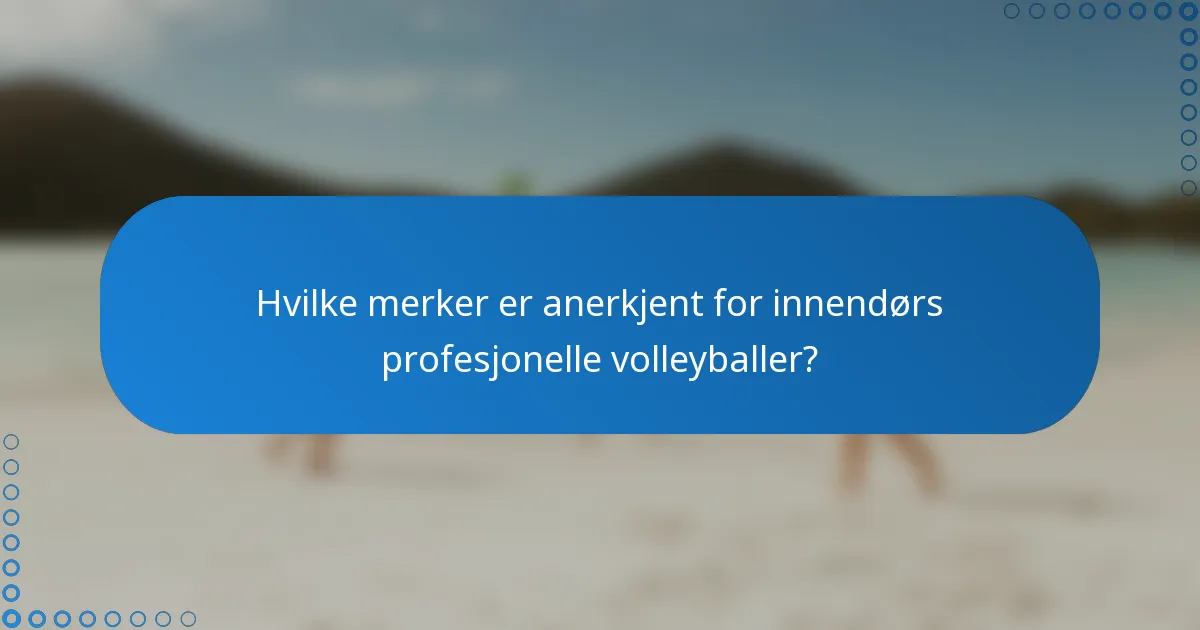 Hvilke merker er anerkjent for innendørs profesjonelle volleyballer?