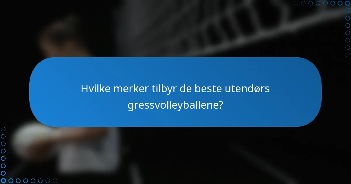 Hvilke merker tilbyr de beste utendørs gressvolleyballene?